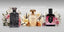 Bold Collection